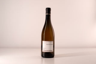 On the Rhône again (North, France), white