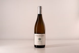 Carlina (South Rhone, France), white